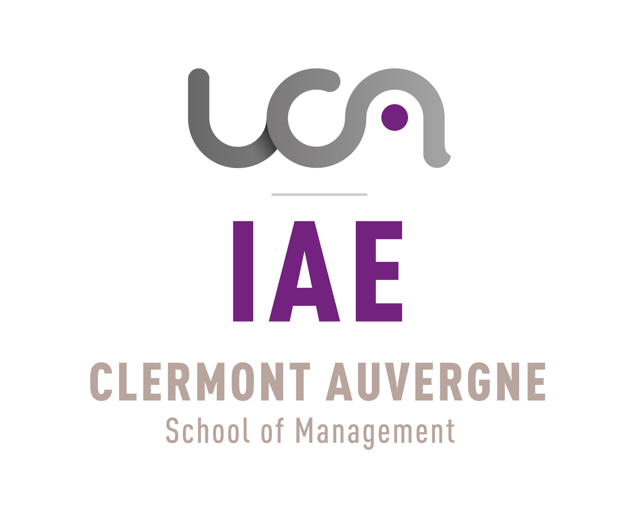 Logo IAE
